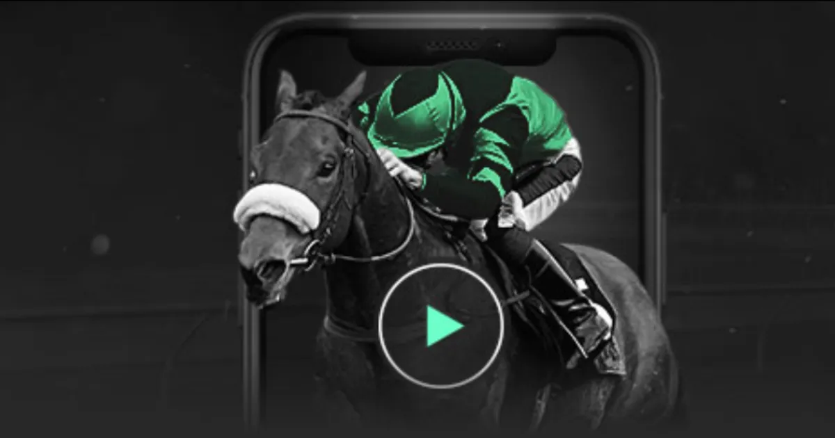 尼科,威廉姆斯展,勇气,金年会体育官网,JinNianHui,SPORTS,金年会体育中国官网,JinNianHui体育平台,金年会体育服务