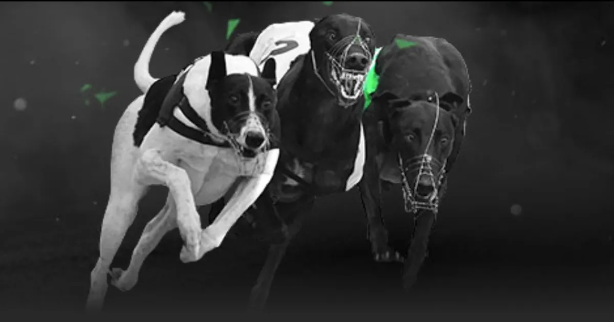 泰山队被鲁,媒指出,体系不全,金年会体育官网,JinNianHui,SPORTS,金年会体育中国官网,JinNianHui体育平台,金年会体育服务